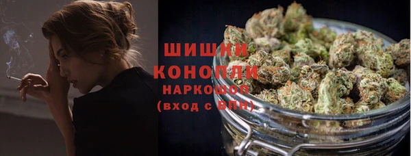прущие грибы Горно-Алтайск