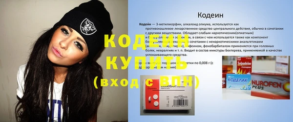 амф Вяземский