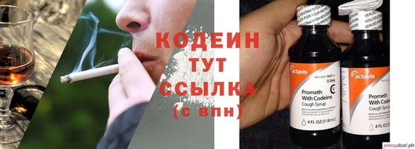 амф Вяземский