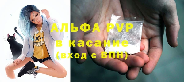 амф Вяземский