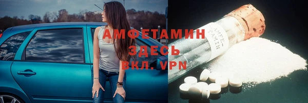 амф Вяземский