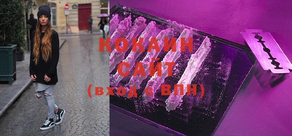 амф Вяземский