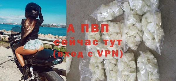 амф Вяземский