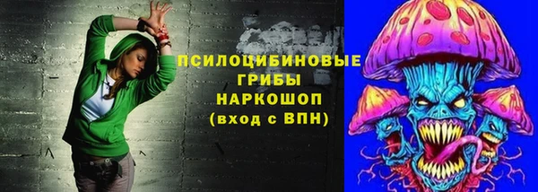 амф Вяземский